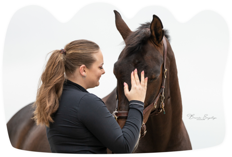 Een groot donkerbruin paard krijgt een aai over de neus